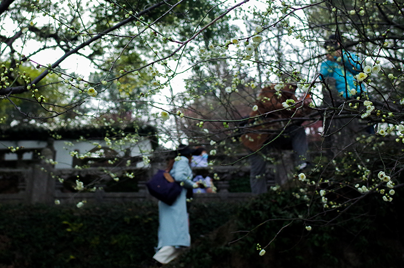 最新日韩在线视频 线视请务必选择正版授权平台