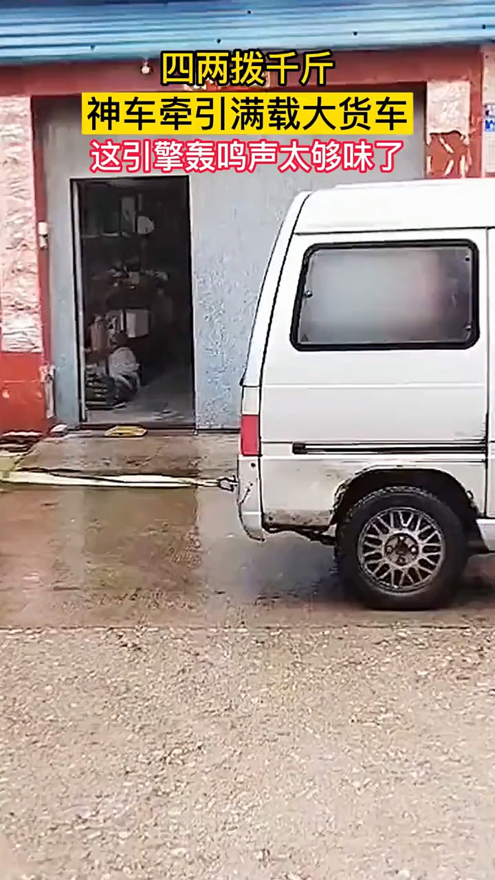 国漫3d在线 国漫d线《西行纪》等