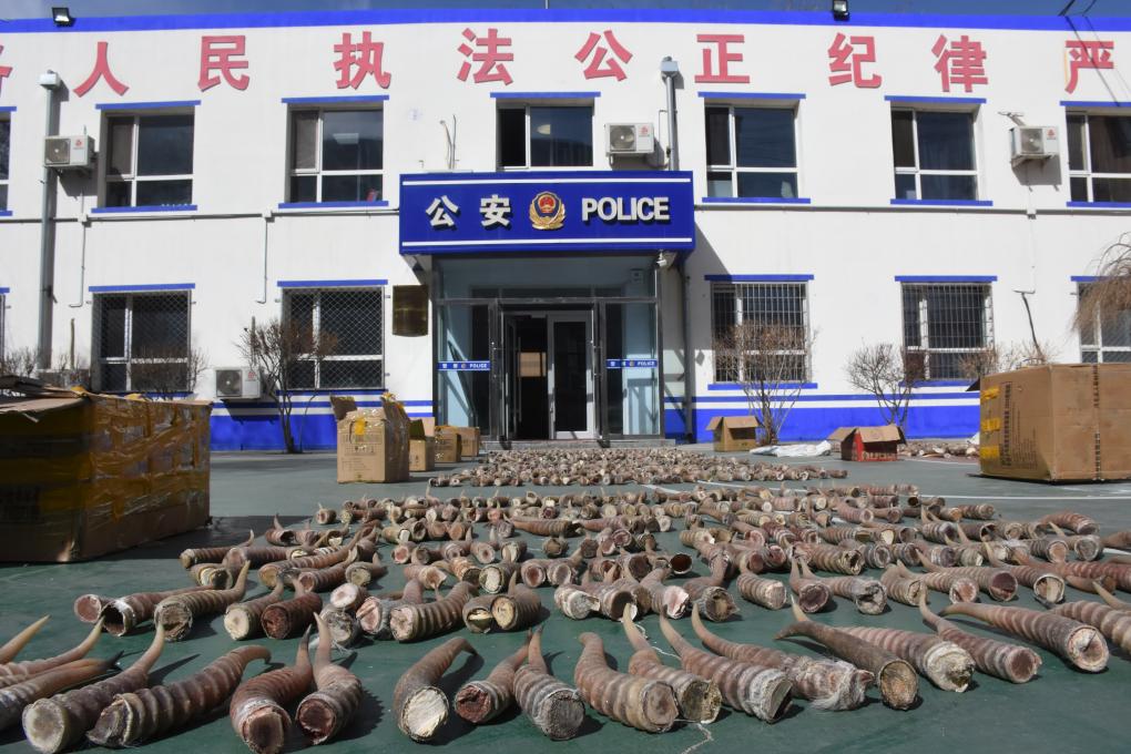 p 站入口 植入木马的站入口风险海报