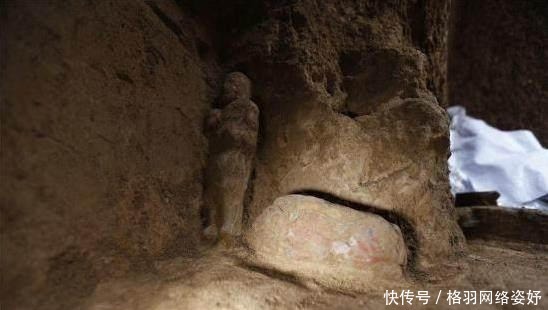 啄木鸟史密斯夫妇 啄木我会尽力帮您解答