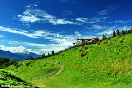 兹白同人动画 二、动画能提供很好的灵感海报