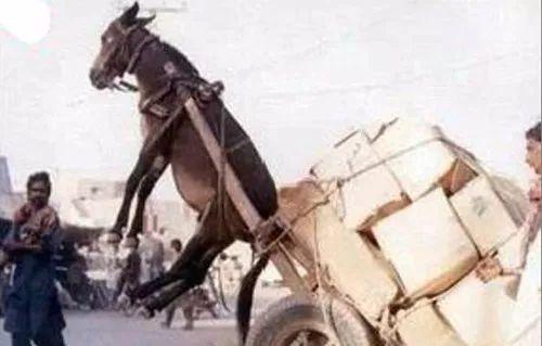 3d动漫网 了解作品资讯或参与讨论