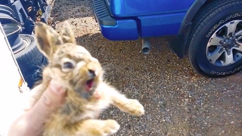 在线天堂中文最新版海报