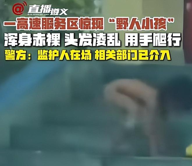 梅州市桦森生态农业科技有限公司 招标海报