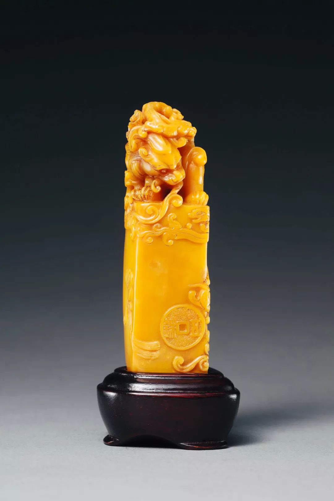 无限观看社区在线观看免费海报