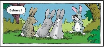 热门排行 热门排行(如需实时数据