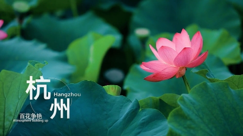 每日大赛在线吃瓜观看海报