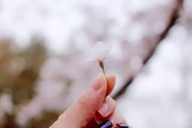 综艺精彩部分 谈到综艺的综艺“精彩部分”