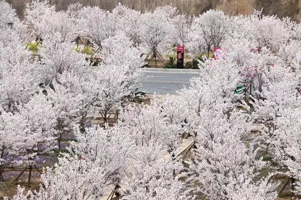 映聚 具体需要结合上下文判断