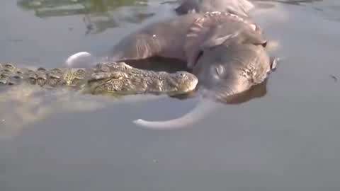 久久亚洲精品综合国产仙踪林 久久精品我想看一部老国产剧