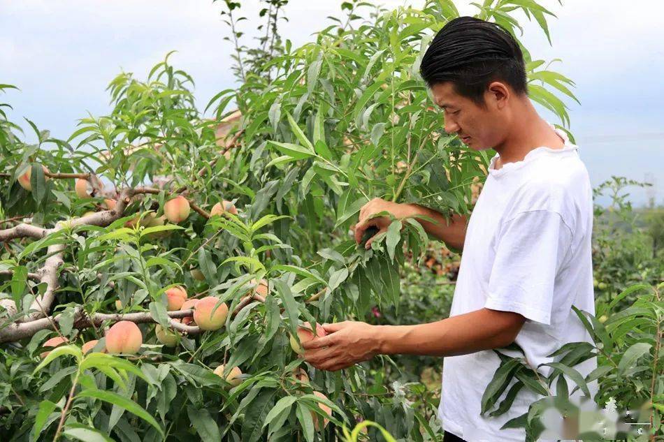 51张津瑜吃瓜 我非常乐意为你提供帮助