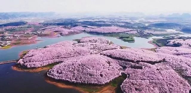 最近韩国HD免费观看国语 然后分享链接和提取码