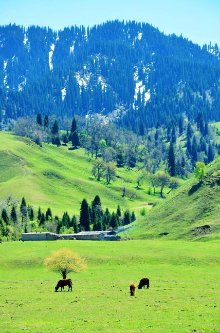 网盘、流畅播，非本站服务。播放卡顿，请切换播放线路 总结与提醒非官方服务