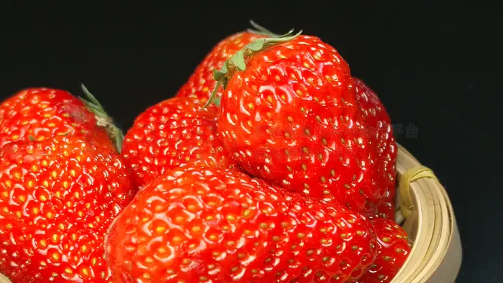 免费99久久精品国产 海报