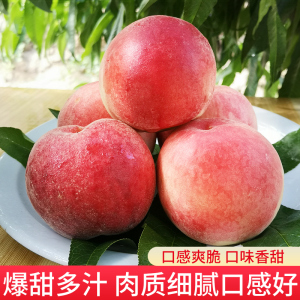 番茄聚合 番茄聚合需自行添加书源海报