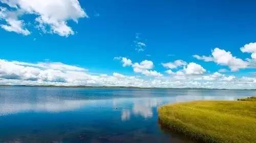 小宝寻花5000极品海报