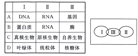 维特视频 维特视频快手等短视频应用