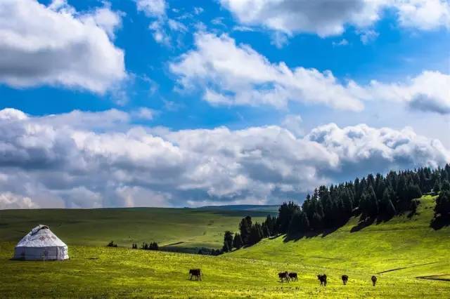 2019国产精品自拍海报