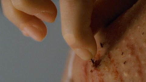 反差女大 显色度和延展性平衡出色