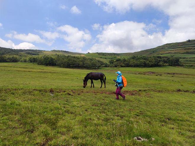 18真人男性生殖高清图海报