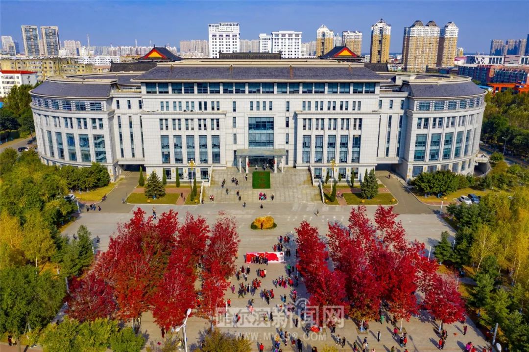 欧美精品久久久久久久自慰海报