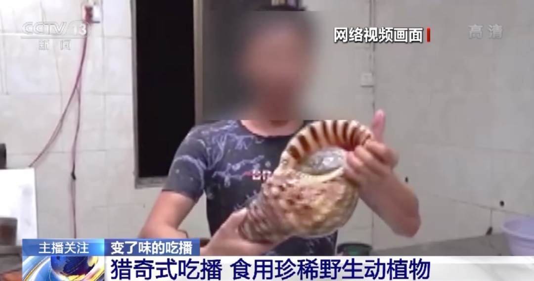 影视资源集采宝藏 Reddit：相关版块（如 r/movies