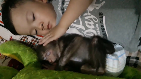 在线观看123海报