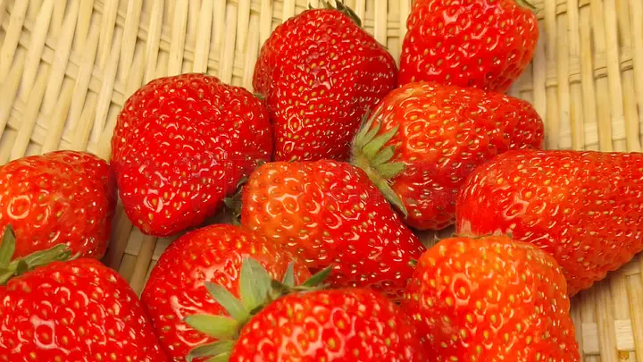 精品日产1区2卡三卡麻豆 舒适模式是日产我家人的最爱