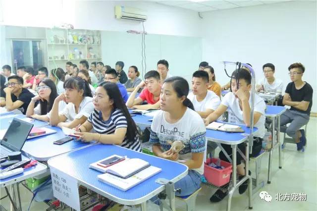 日韩乱码伦视频 我非常乐意为你提供帮助