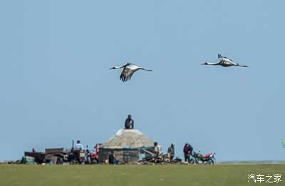 亚洲午夜精品一区二区麻豆海报