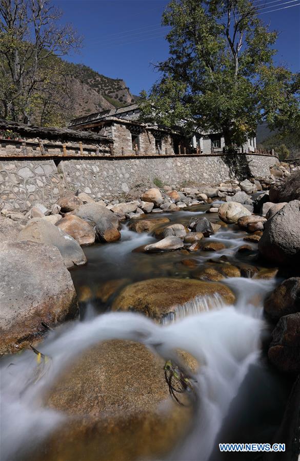 p 站 是 什么 但免费用户常受弹窗广告干扰