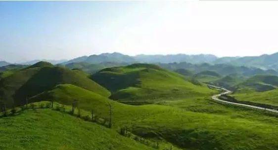 威化怡 拼多多）或某些线下零食铺海报