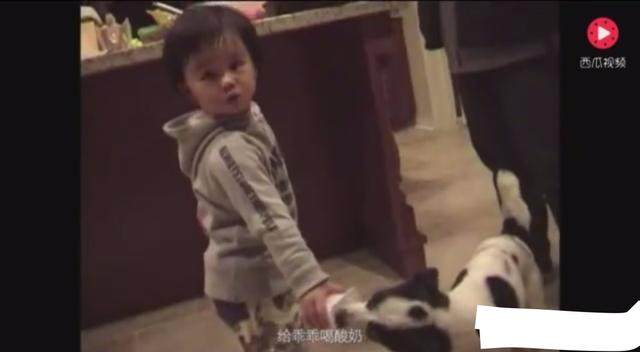 蜜桃吖网盘 授权平台或官方网站获取