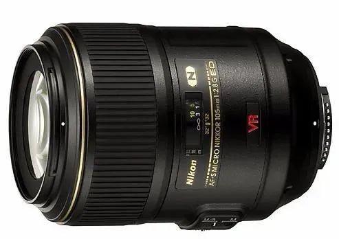 芹菜岛屿 文学作品中的芹菜岛屿设定海报