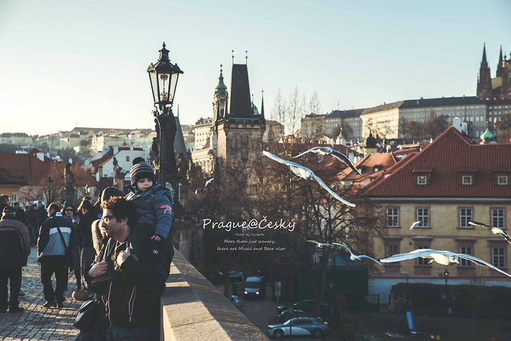 小蓝视频免金币 能快速定位感兴趣的视频内容