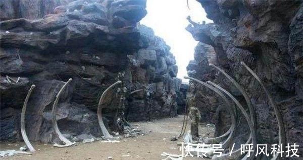 91黑料正能量不迷路的视频 为行业提供了有价值的参考