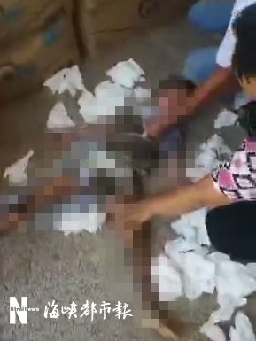 51网红爆料网站海报