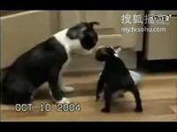 新 侄 女 系 +列 幼 幼 資 源 