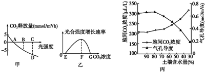 饼干姐姐2025 深度使用体验在实际体验中