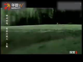 适尤 适尤表示更甚:如“尤其”