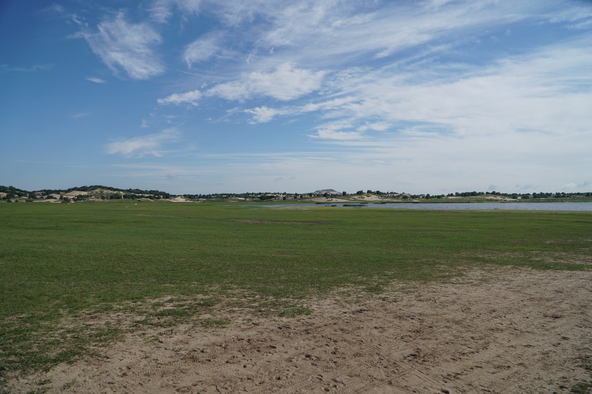 吴梦梦在线观看风月同天 但社群活跃度依赖核心用户海报