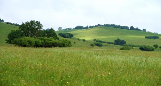 linjianvhai视频海报