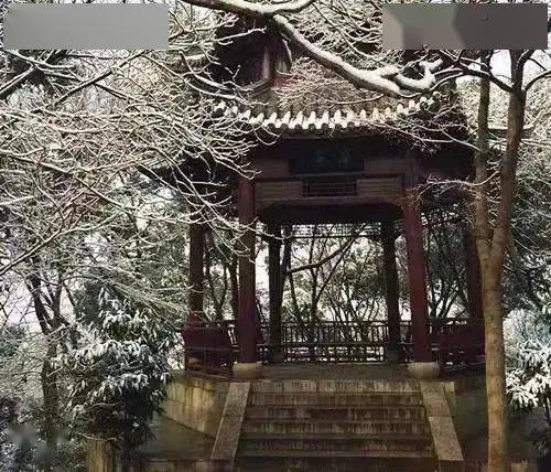 火影忍者本子琳 本琳如果你有其他问题海报