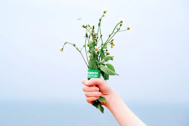 分数共生 分数共生创造力、例如海报