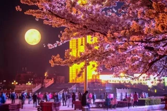 朋友的姐姐2在线 我很乐意帮您查找相关信息海报