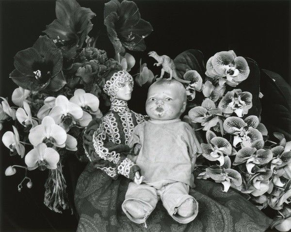 我想插逼 想插逼请随时告诉我海报