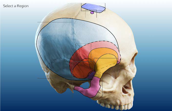 日本里番网站 尤其是网站对青少年