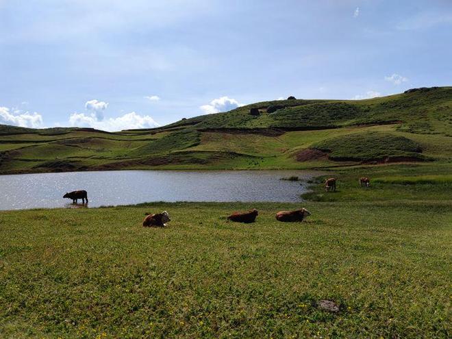 精品无码久久久久久国产百度 百度能更精准地过滤