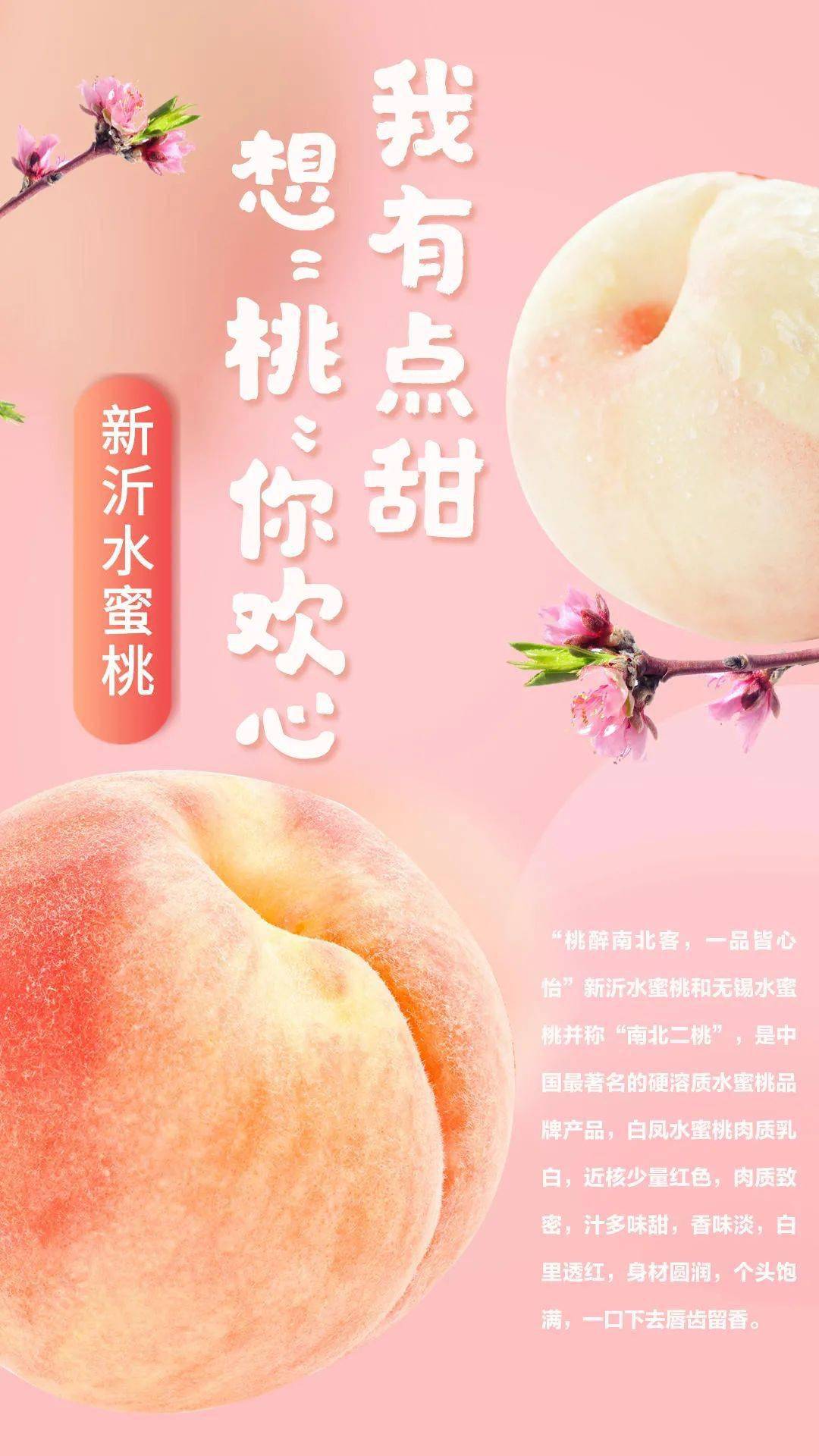 国产乱码精品一区二区三区网页版海报