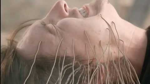 51在线视频 积极的线视频网络环境海报